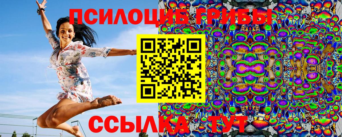 Галлюциногенные грибы Psilocybine cubensis Донецк