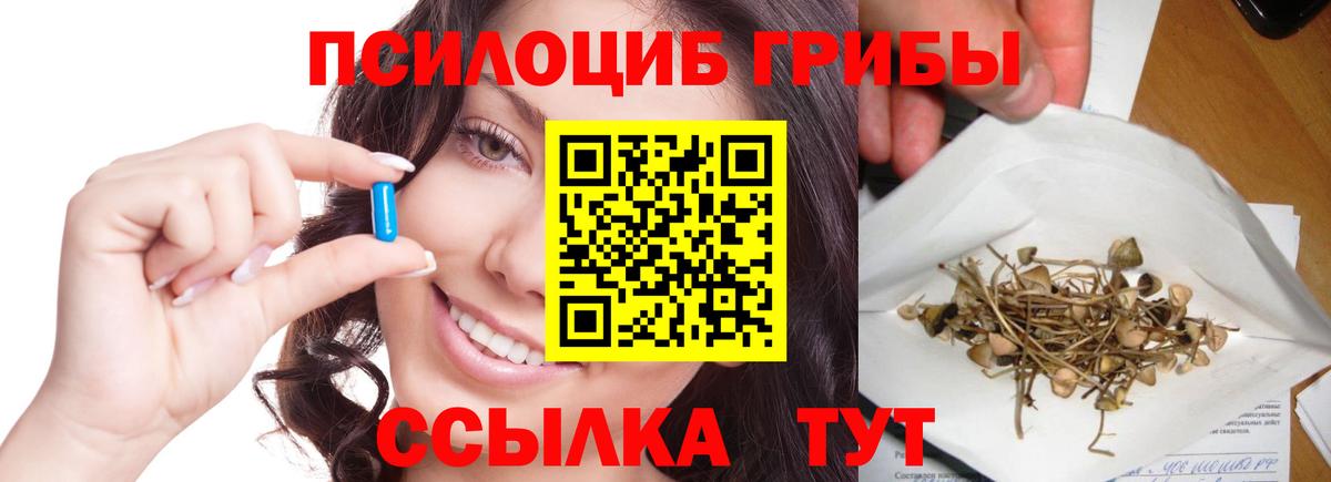 Псилоцибиновые грибы ЛСД  хочу   Псилоцибиновые грибы мухоморы  Донецк  Вход с VPN 